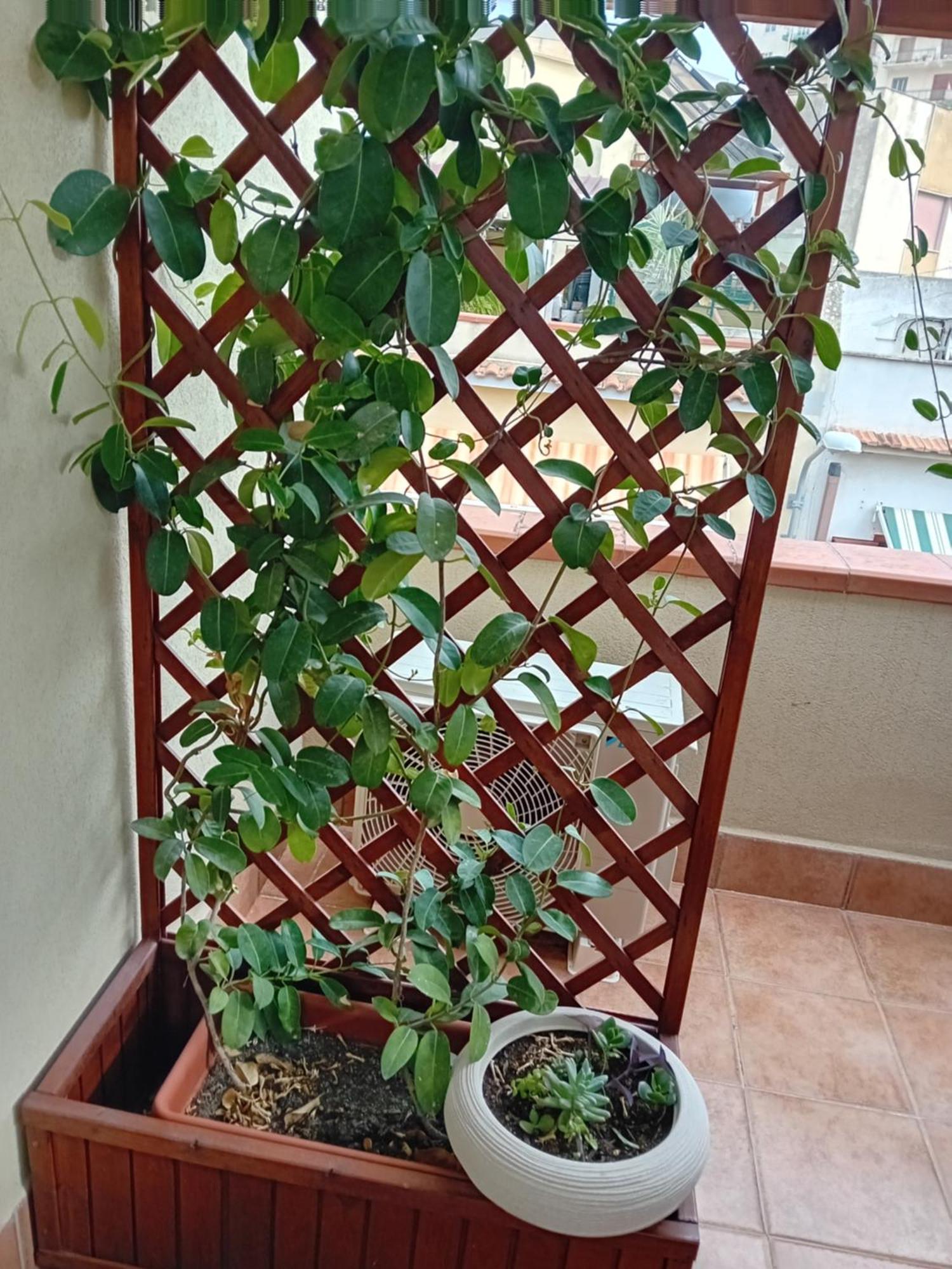 A Casa Tua Affitti Brevi Bed and Breakfast Νότο Δωμάτιο φωτογραφία